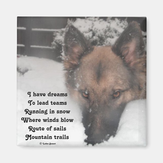 Magnet J'Ai Rêvé Poème Par Ladee Basset (Devant)