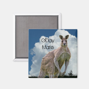 Magnet Kangaroo