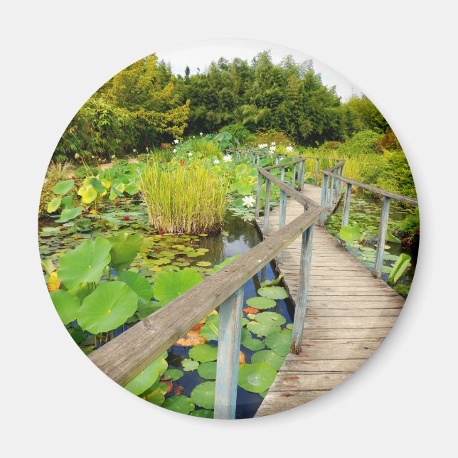 Magnet Lily Pond (Devant)