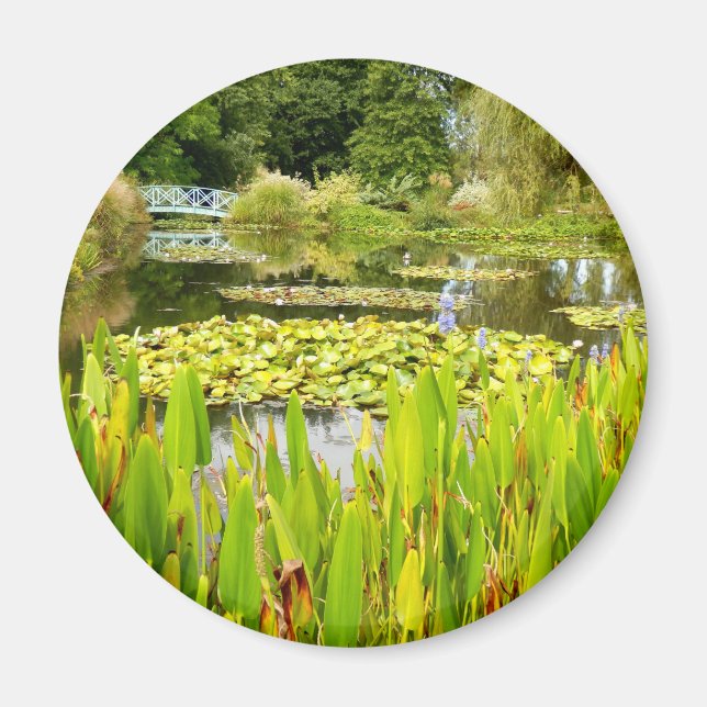 Magnet Lily Pond (Devant)
