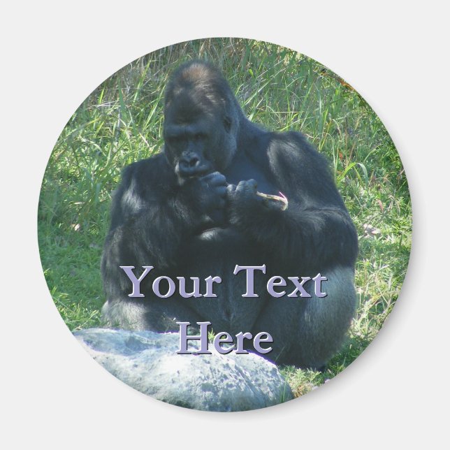 Magnet Macaw (Devant)