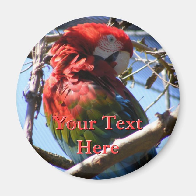Magnet Macaw (Devant)