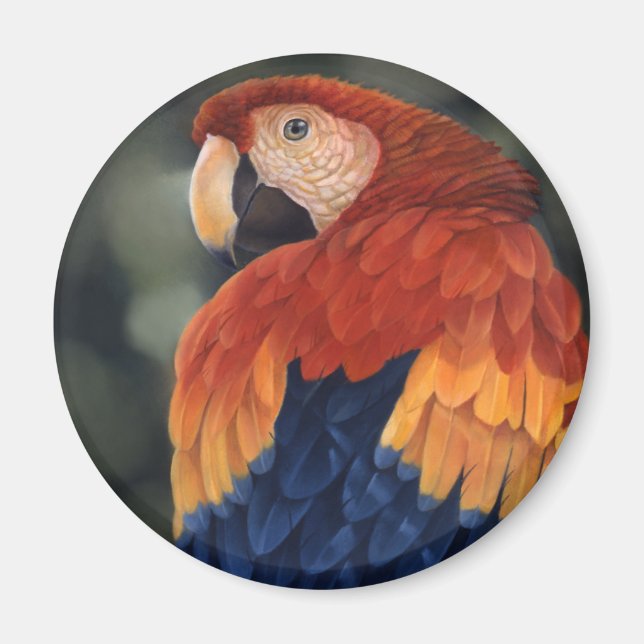 Magnet Macaw (Devant)