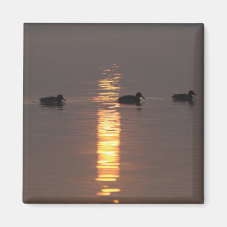 Magnet Mallards