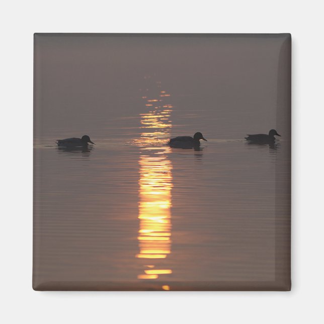 Magnet Mallards (Devant)
