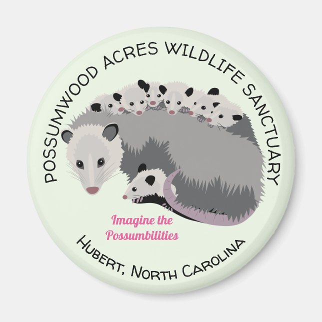 Magnet Mama Opossum (Devant)