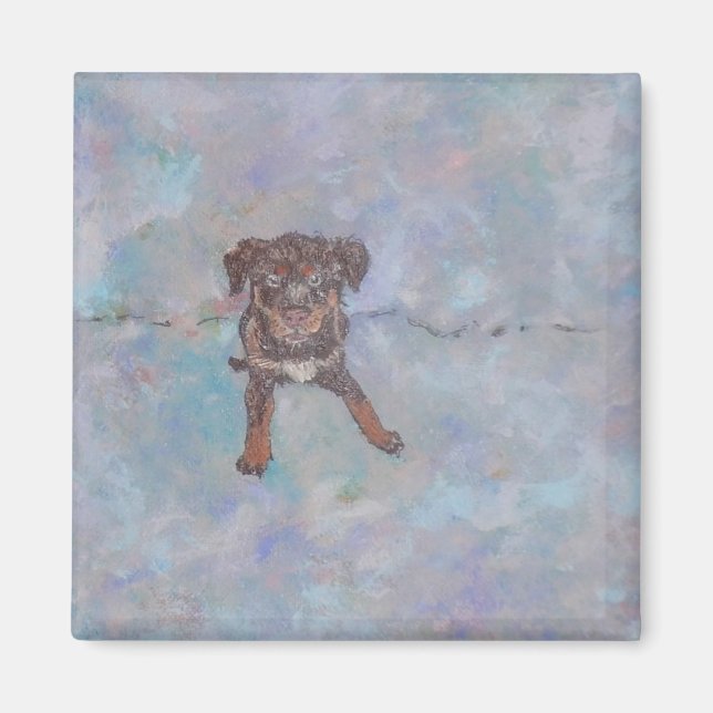 Magnet Mix Lab Adorable (Devant)