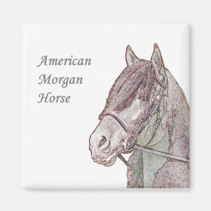 Magnet Morgan Horse