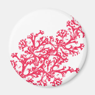 Magnet Motif Coral