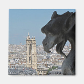 Magnet : Notre-Dame de Paris - Gargoyle