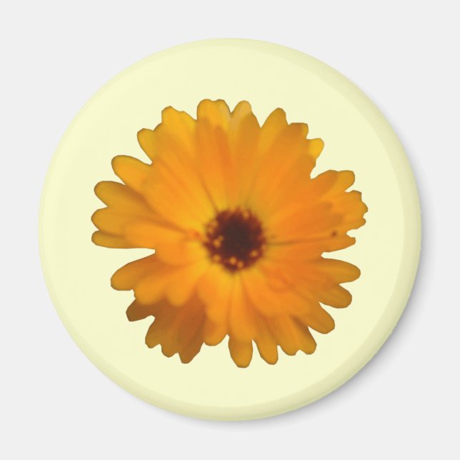 Magnet orange Marigold (Devant)