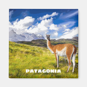 Magnet Patagonie