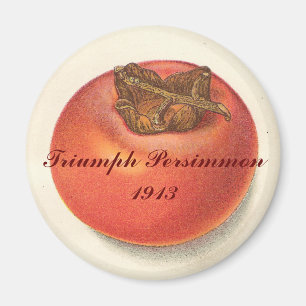 Magnet Persimmon vintage