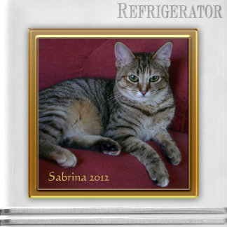 Magnet photo commémoratif de chats
