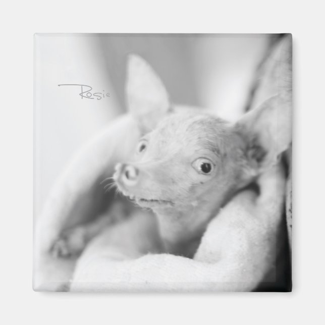 Magnet photo de Rosie (Devant)