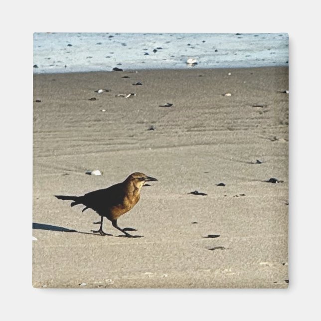 Magnet photo d'oiseaux (Devant)