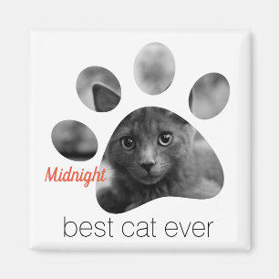 Magnet photo Empreinte de patte personnalisé