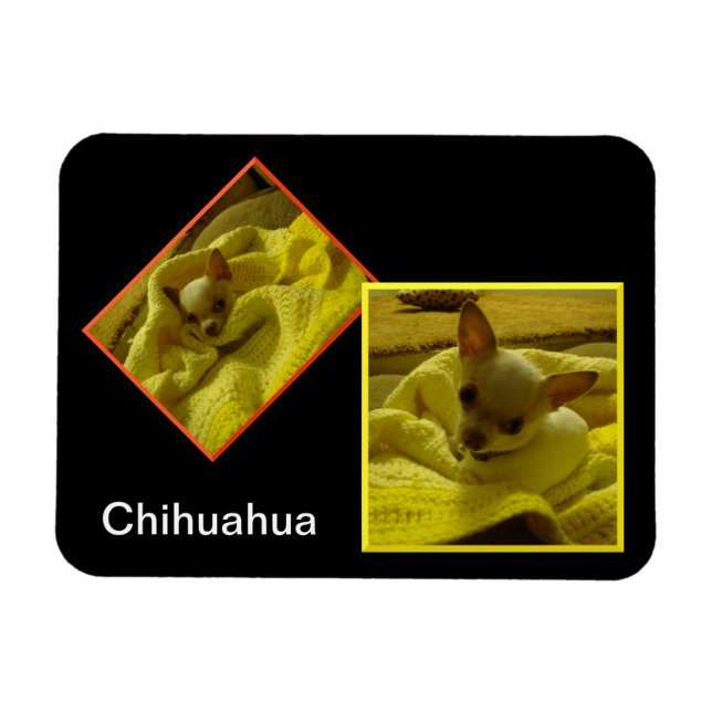 Magnet photo flexible Chihuahua (Horizontal)