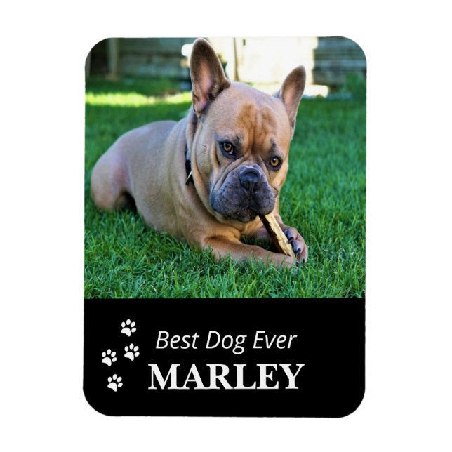 Magnet photo flexible du meilleur chien jamais (Vertical)