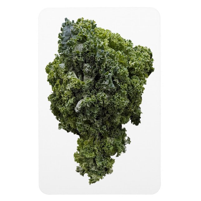 Magnet photo Kale (Vertical)