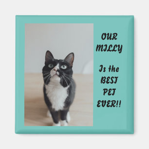 Magnet photo personnalisé meilleur animal de compa