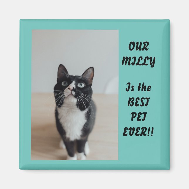 Magnet photo personnalisé meilleur animal de compa (Devant)