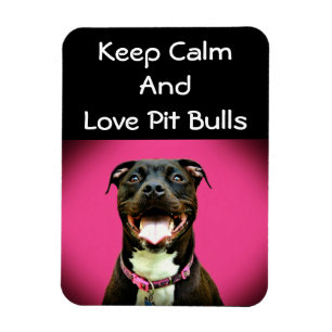 Magnet photo Pitbull Love