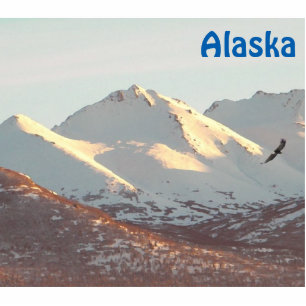 Magnet Photo Sculpture Aigle D'Hiver Et Montagnes