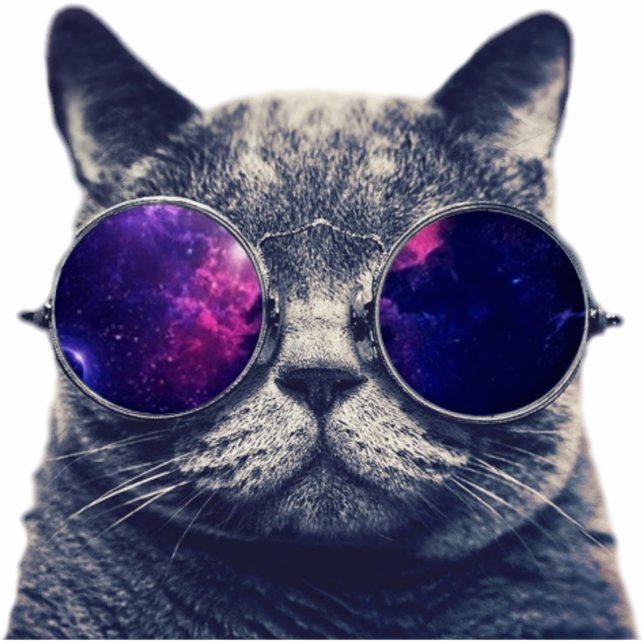 Magnet Photo Sculpture Aimant 2 po x 3 po (Devant)