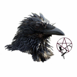 Magnet Photo Sculpture Aimant corbeau Wiccan (sculpté)