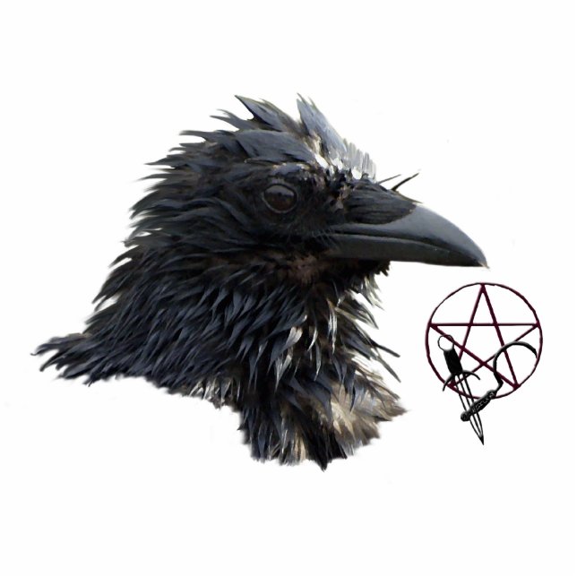 Magnet Photo Sculpture Aimant corbeau Wiccan (sculpté) (Devant)