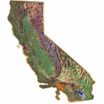 Magnet Photo Sculpture Aimant de carte de la Californie coupé<br><div class="desc">Cet aimant,  formé comme l'état de la Californie,  montre une carte de soulagement de l'état entouré par une frontière d'effet d'or. Décor californien pour votre réfrigérateur. 
Carte dérivée des images chez nationalatlas.gov.</div>