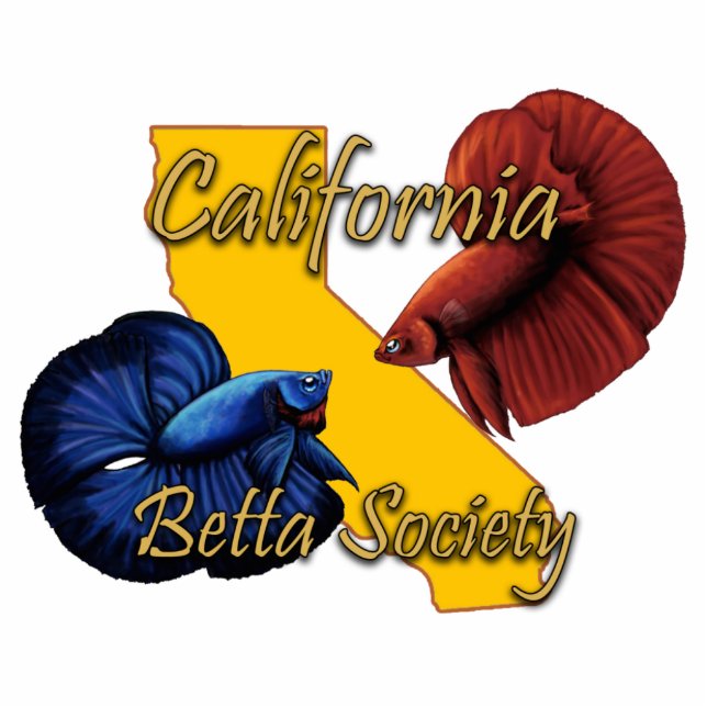 Magnet Photo Sculpture Aimant de CBS (Devant)