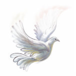 Magnet Photo Sculpture Aimant de colombe<br><div class="desc">Aimant de colombe</div>