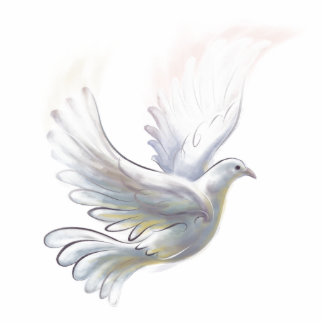 Magnet Photo Sculpture Aimant de colombe