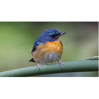 Magnet Photo Sculpture aimant de sculpture en photo 2x3