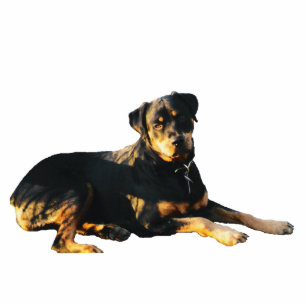 Magnet Photo Sculpture Aimant de sculpture en photo de rottweiler