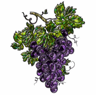Magnet Photo Sculpture Aimant pourpre de raisins