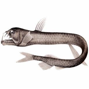 Magnet Photo Sculpture Aimant/sculpture de coupe-circuit de Viperfish