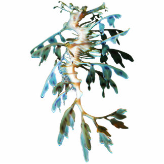 Magnet Photo Sculpture Aimant/sculpture feuillus de coupe-circuit de