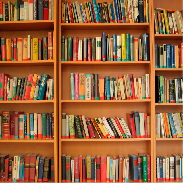 Magnet Photo Sculpture Bibliothèque Livres Librairie Vêtements de livres  (Devant)