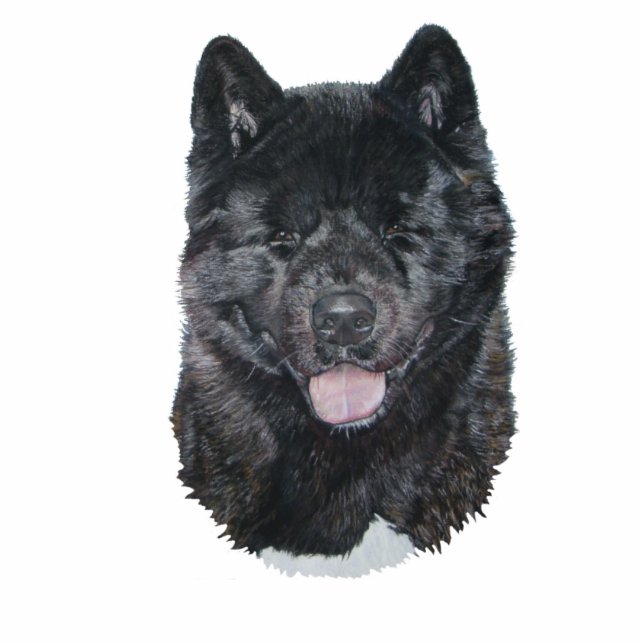 Magnet Photo Sculpture Brindle noir akita chien portrait sculpture aimant (Devant)