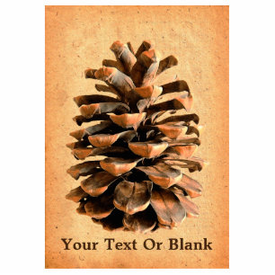 Magnet Photo Sculpture Cône De Pin Sur Parchemin