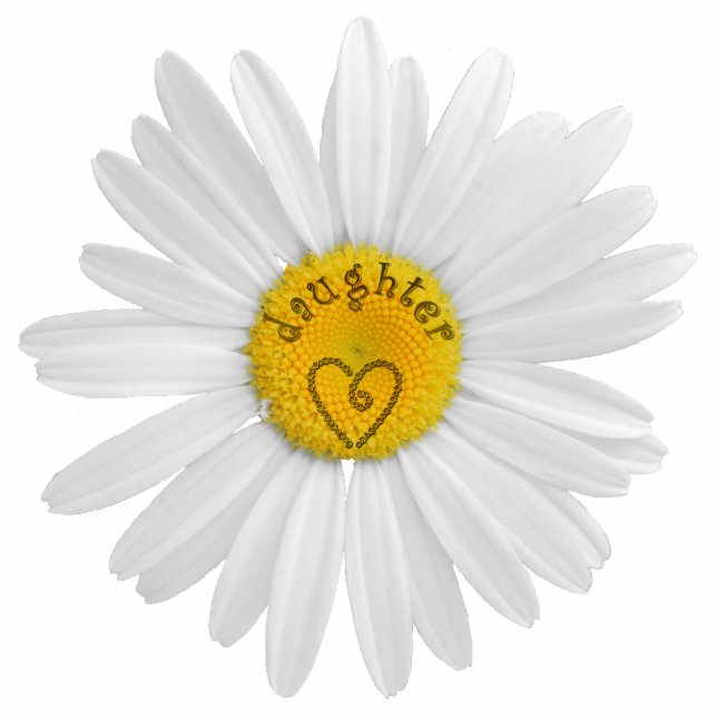 Magnet Photo Sculpture Daisy Flower For Daughter Art Customize Background (Devant)