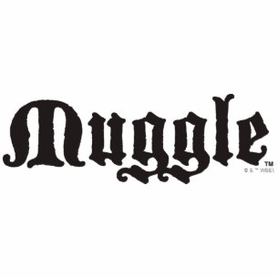 Magnet Photo Sculpture Harry Potter Spell   Muter