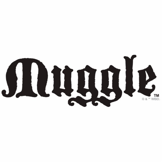 Magnet Photo Sculpture Harry Potter Spell | Muter (Devant)