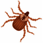 Magnet Photo Sculpture Illustration d'un coup de pied réaliste<br><div class="desc">Ceci est une illustration d'une tique de chien. Une tique est une petite arachnide suceuse de sang. Les tiques adorent les campeurs. Utilisez le bouton personnaliser pour ajouter un nom,  un message,  modifier une image ou modifier la couleur de l'arrière - plan.</div>
