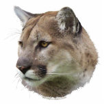 Magnet Photo Sculpture LION DE MONTAGNE DE COUGAR (sculpté) Cadeau fauniq<br><div class="desc">Pour les amateurs d'animaux partout ! Cette image très cool qui montre le beau visage d'un Lion de Montagne (Cougar),  fait un fab Magnet! 25 % des pourcentages de chaque vente faite sont donnés à Defenders of Wildlife à l'adresse suivante : www.defenders.org</div>