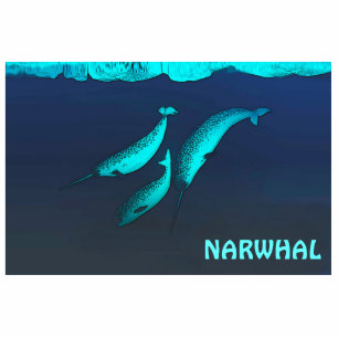 Magnet Photo Sculpture Narwhal Sous La Glace