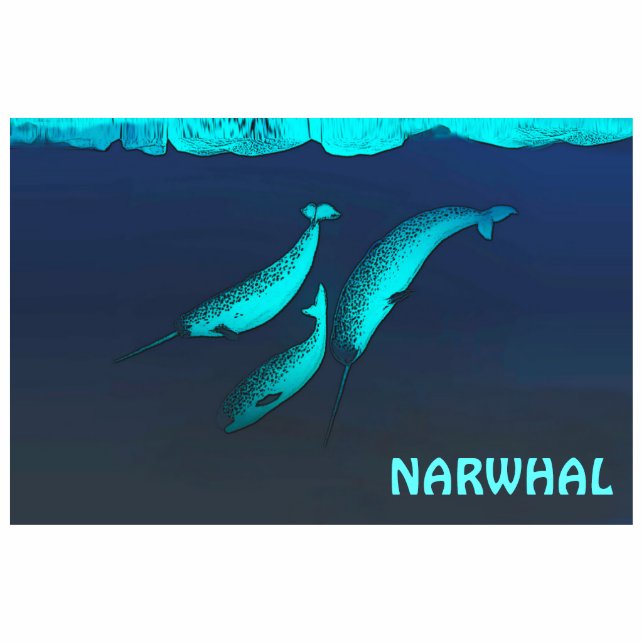 Magnet Photo Sculpture Narwhal Sous La Glace (Devant)